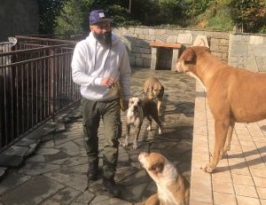 Cani avvelenati con würstel riempiti di chiodi, brutto episodio a Cuorgnè