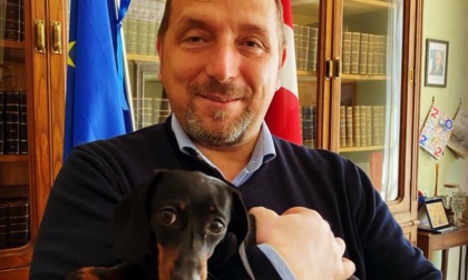 Cani salvati a Pont, l'appello del sindaco di Favria