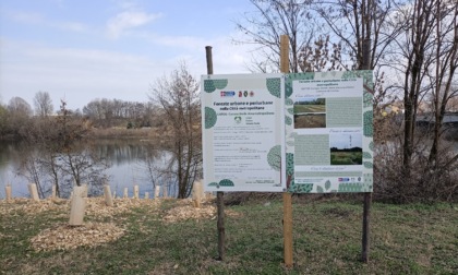 Nuovo bando forestazione