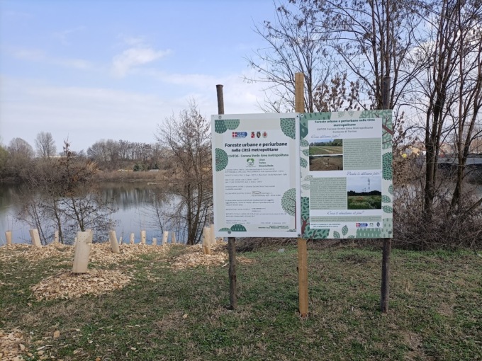 Nuovo bando forestazione