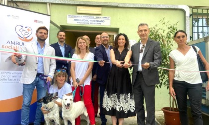 Veterinario gratis per gli animali delle famiglie in difficoltà economica, l'AslTo4 inaugura l'ambulatorio