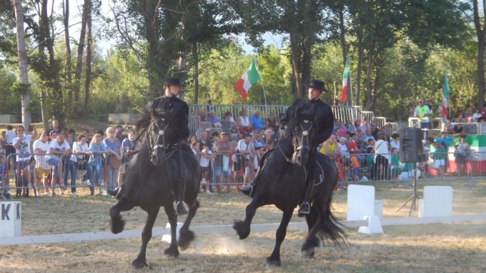 Cosa fare in Canavese nel weekend: gli eventi di sabato 8 a domenica 9 luglio 2023