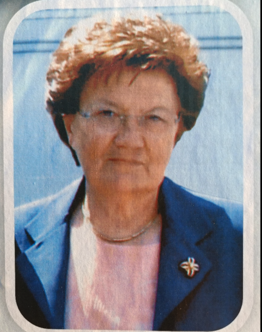 Punta da un calabrone muore dopo 4 anni di coma