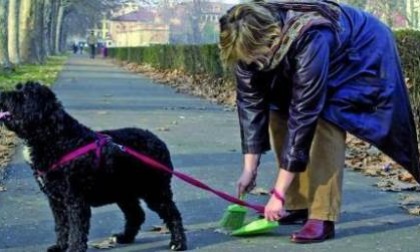 Cani e aree verdi, modificata l'ordinanza