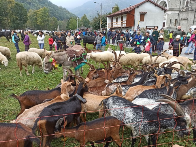 Torna la Festa della Transumanza e della patata di montagna a Usseglio