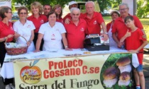 Sagra del Fungo nel fine settimana a Cossano