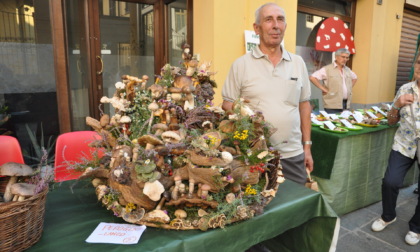 Funghi in piazza, entusiasmo e partecipazione alla quarantesima edizione