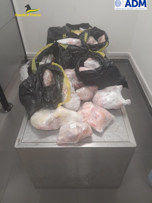 Dall’Egitto con 64kg di carne nel bagaglio, fermato all’aeroporto di Caselle