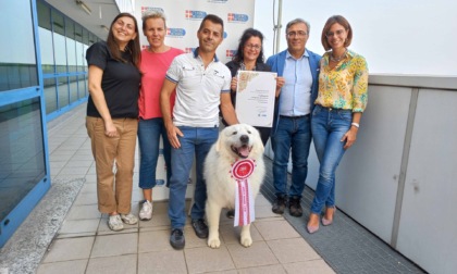 Il cane più bello del mondo è castellamontese, Cafaggio ricevuto in Città Metropolitana