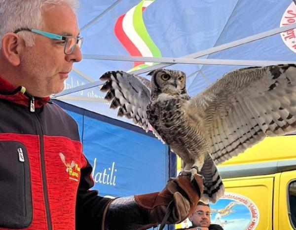 Una lezione molto particolare per i bimbi dell’Immacolata concezione con un falco