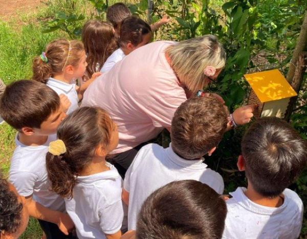 Alla scoperta delle api e della biodiversità