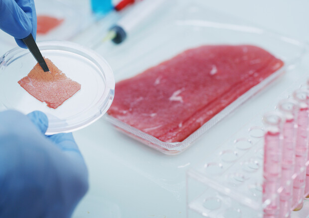 Coldiretti: Con il divieto del cibo sintetico hanno vinto i cittadini