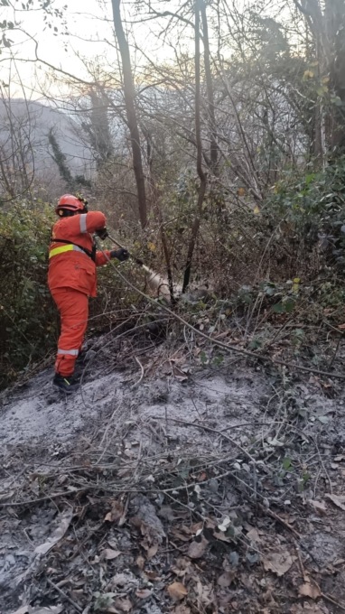 Scaricano cenere ancora ardente nei boschi, pronto intervento degli Aib