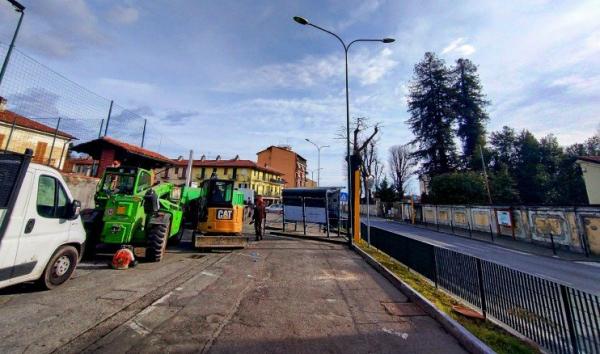 Rivara: Abbattuti gli alberi dedicati ai Caduti in guerra