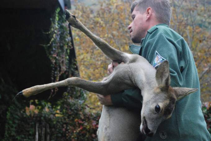 La Città metropolitana assume 15 agenti faunistico venatori