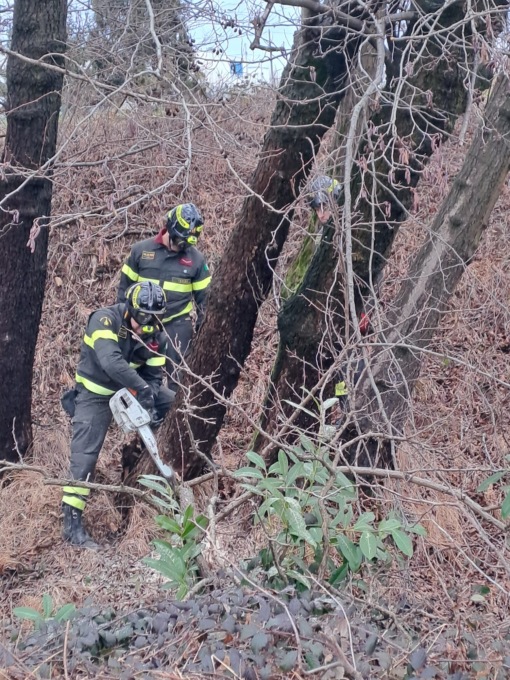 Alberi pericolanti rimossi dai Vigili del fuoco nelle frazioni di Valperga