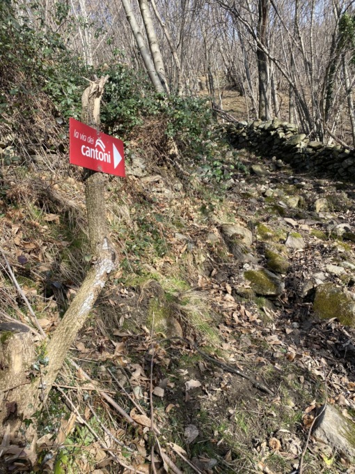 Entro primavera rimessi a nuovo i sentieri dei «Quattro Cantoni»