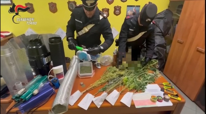 Piantagione di mariuana in casa, denunciato 34enne di San Benigno