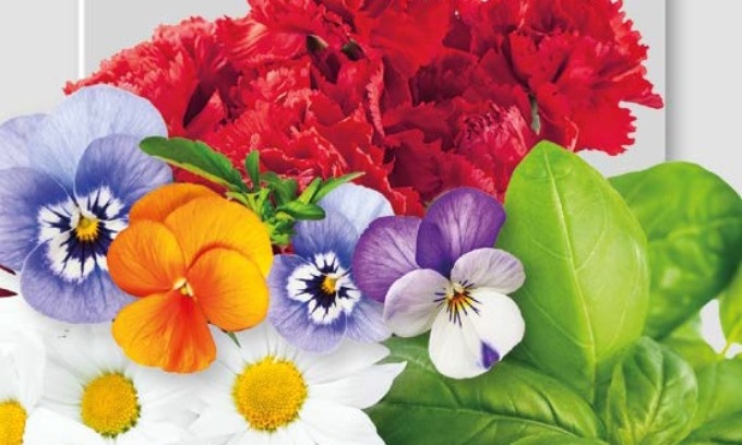 In regalo con Il Canavese e il Giornale di Ivrea fiori… da mangiare
