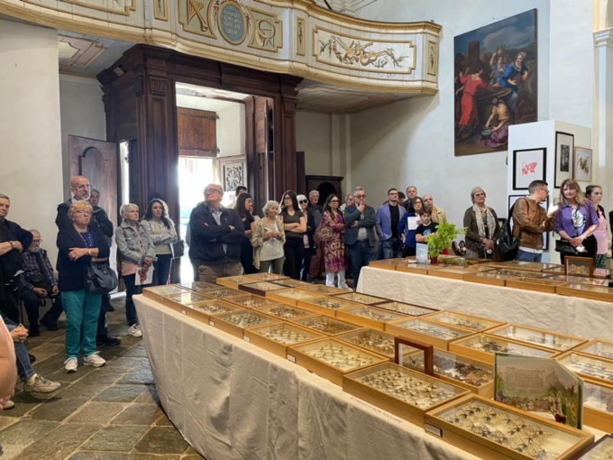 «Polvere di Farfalle», la mostra curata da Arco è stata un successo