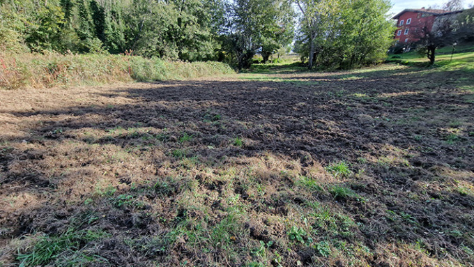 Coldiretti Torino critica la gestione dei cinghiali di Città Metropolitana all’interno del Parco dei 5 Laghi