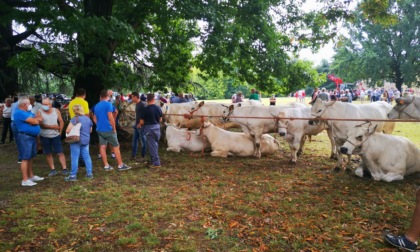 A Rivarolo tutto pronto per San Giacomo, giovedì al via la Patronale