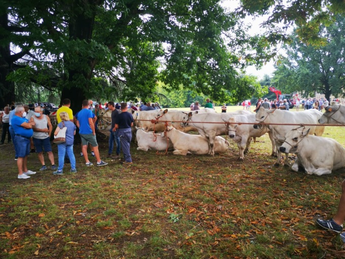 A Rivarolo tutto pronto per San Giacomo, giovedì al via la Patronale