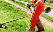 Decoro urbano a Leini, dopo le lamentele al via le manutenzioni del verde