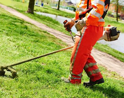 Decoro urbano a Leini, dopo le lamentele al via le manutenzioni del verde