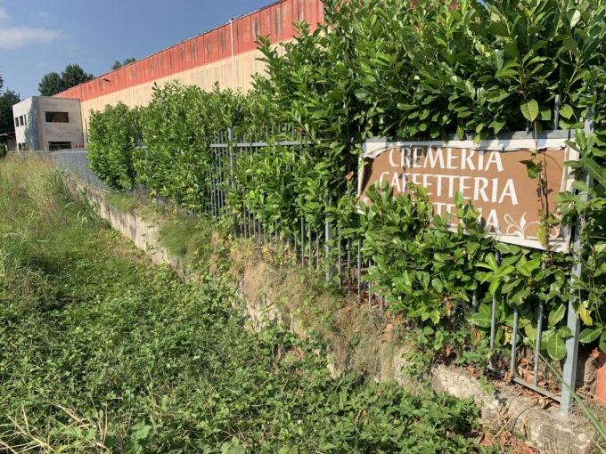 Il muretto della discordia va in tribunale e il giudice (per ora) dà ragione al privato