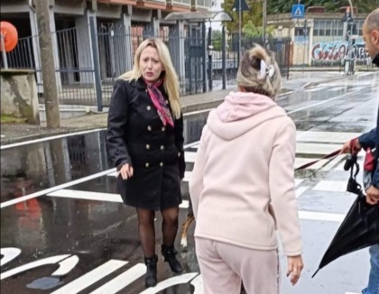 Collegno, Luna muore investita: l’appello disperato della proprietaria