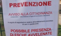 Bocconi avvelenati nell'area cani, il Comune lancia l'allarme