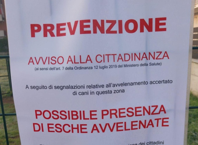 Bocconi avvelenati nell’area cani, il Comune lancia l’allarme