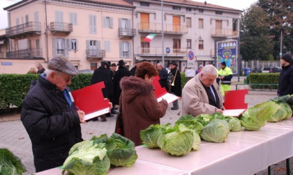 Cosa fare in Canavese nel weekend: gli eventi di sabato 23 e domenica 24 novembre 2024