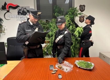 Piante si marijuana alte due metri, a Cintano denunciato 38enne