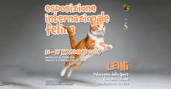 Al palazzetto “Falcone” di Leinì arrivano i gatti da tutto il mondo