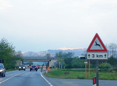 Rotonde della “460”, al via gli espropri