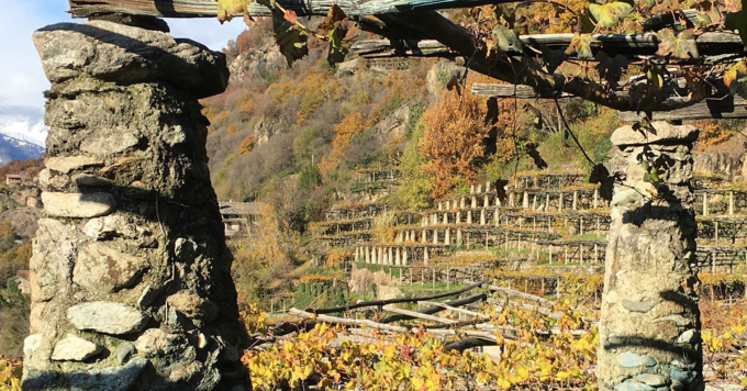 Paesaggi terrazzati dei vigneti eroici patrimonio nazionale