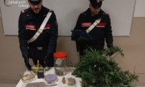 Arrestato a Vistrorio 40enne per produzione e traffico di droga