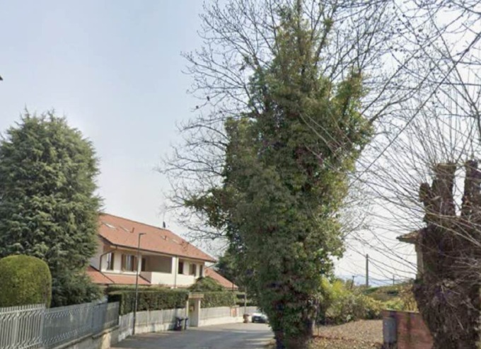 Alberi pericolosi, a Volpiano interviene il sindaco