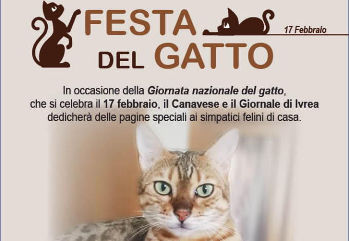 Celebra la Festa del Gatto: il Canavese e il Giornale di Ivrea dedicano pagine speciali ai vostri felini!