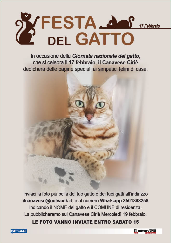 CIRIE_Promo festa nazionale del gatto_whatsapp014