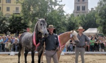 Ivrea cerca la sua immagine: al via il concorso per la Festa Patronale 2025