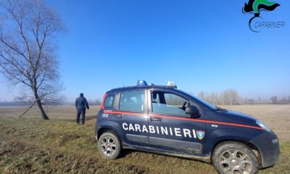 Volpiano, terreni demaniali occupati senza concessione: tre agricoltori denunciati