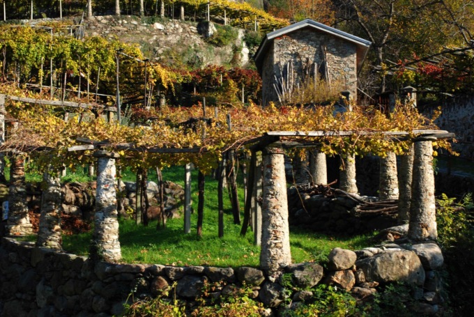 Vigneti terrazzati del Mombarone, giornata di studio in Città Metropolitana
