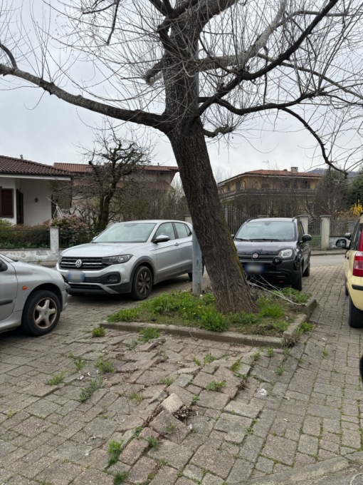 Valperga, le radici di due alberi rovinano il parcheggio: disposto l’abbattimento