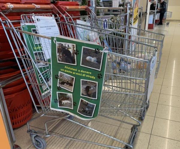 Rubato il carrello di raccolta della colonia felina di Volpiano