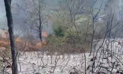 Incendio tra Baldissero e Vidracco: in fiamme l’area attorno alla Torre Cives