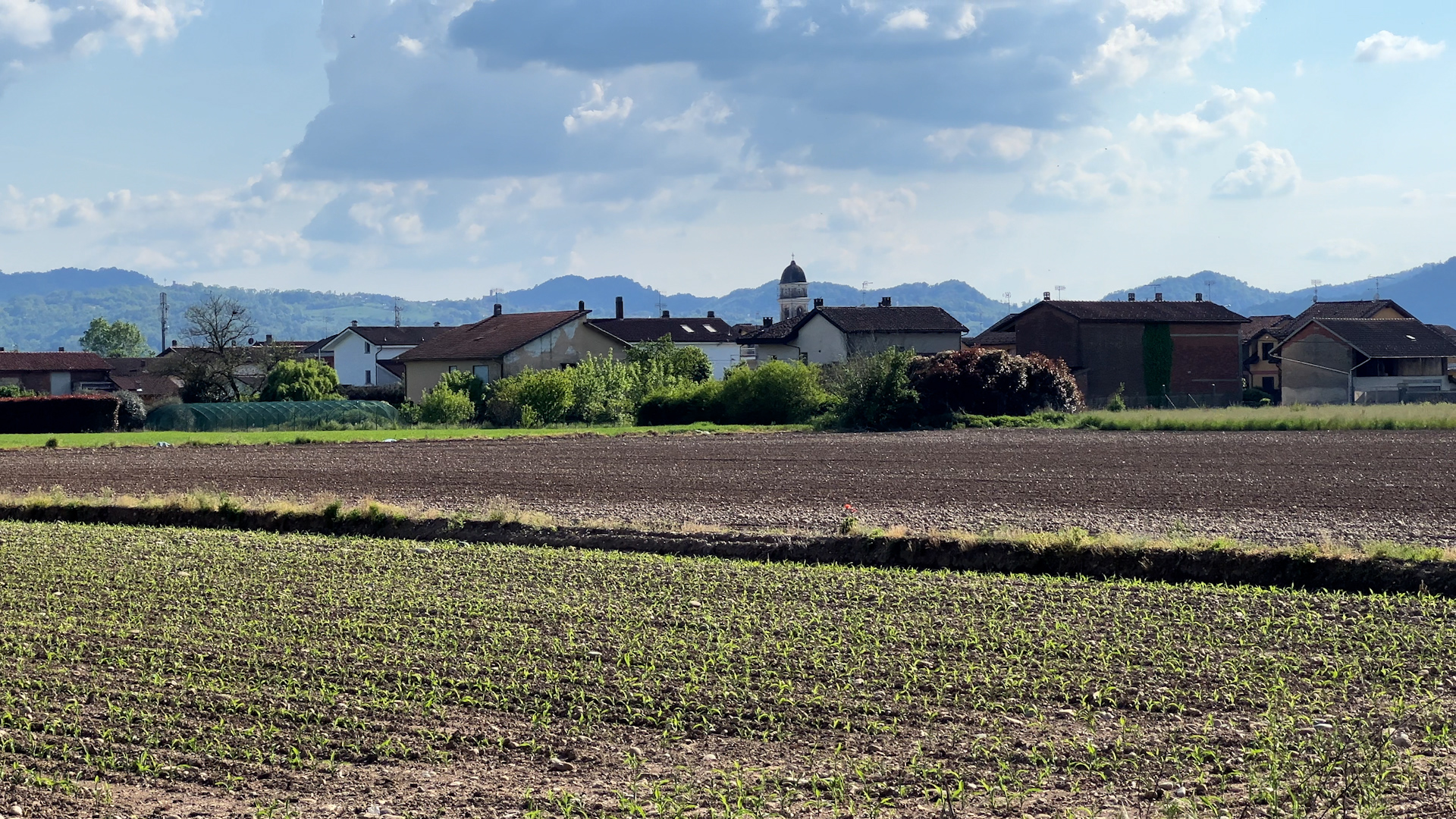 foto agricoltura