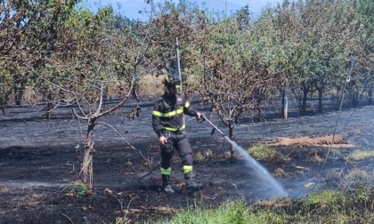 Incendio a San Giusto: distrutti un campo di grano e un frutteto